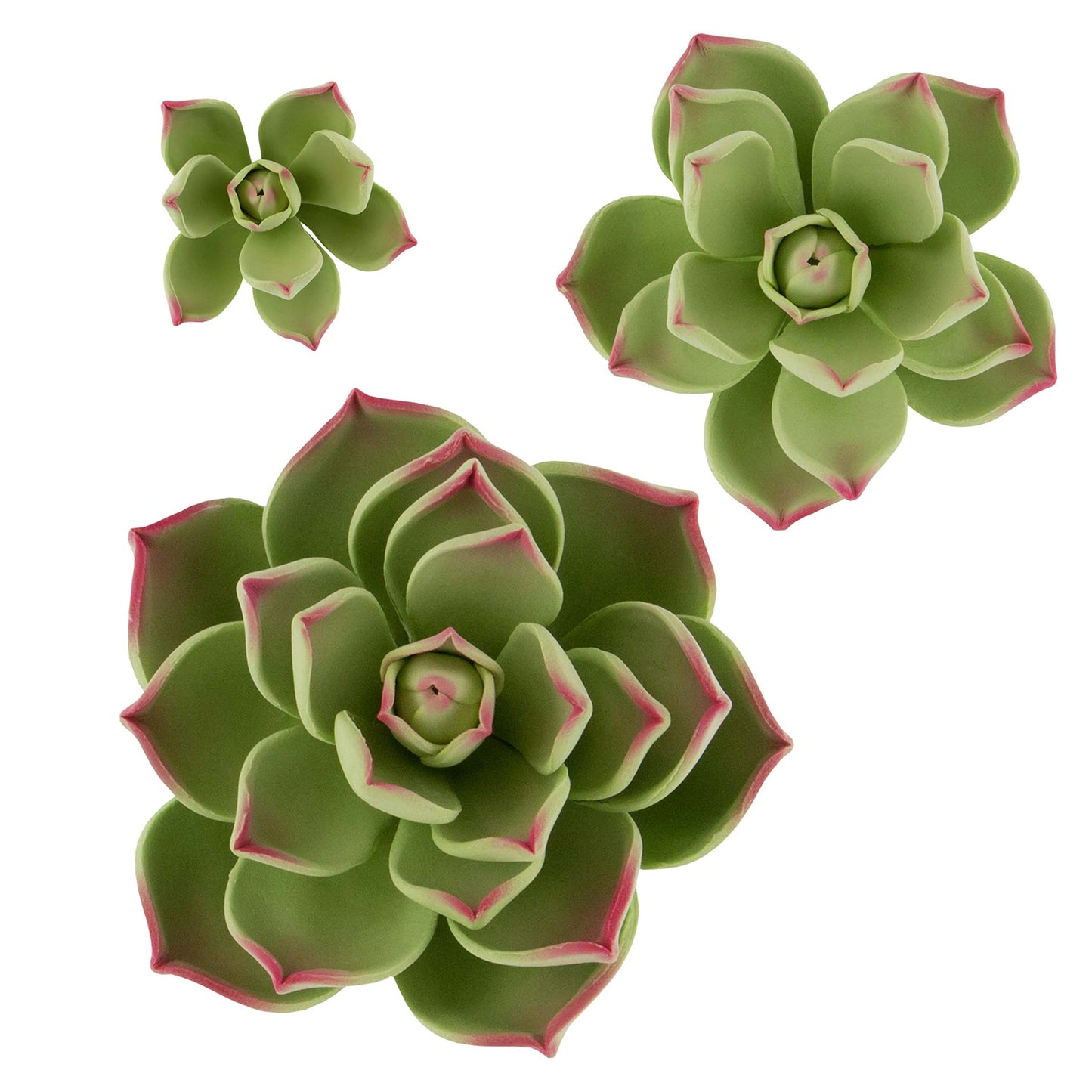 Global Sugar Art Succulents Parva Assortment Sugar Cake Flowers, 3 Count, Green Parva