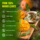 Freshdrinkus, Enhanced 100 Mango Leaf Tea Bags, 100% Natural & Pure From Mango Leaves. Loose Leaf Herbal Tea. No Sugar, No Caffeine, No Gluten, Vegan.