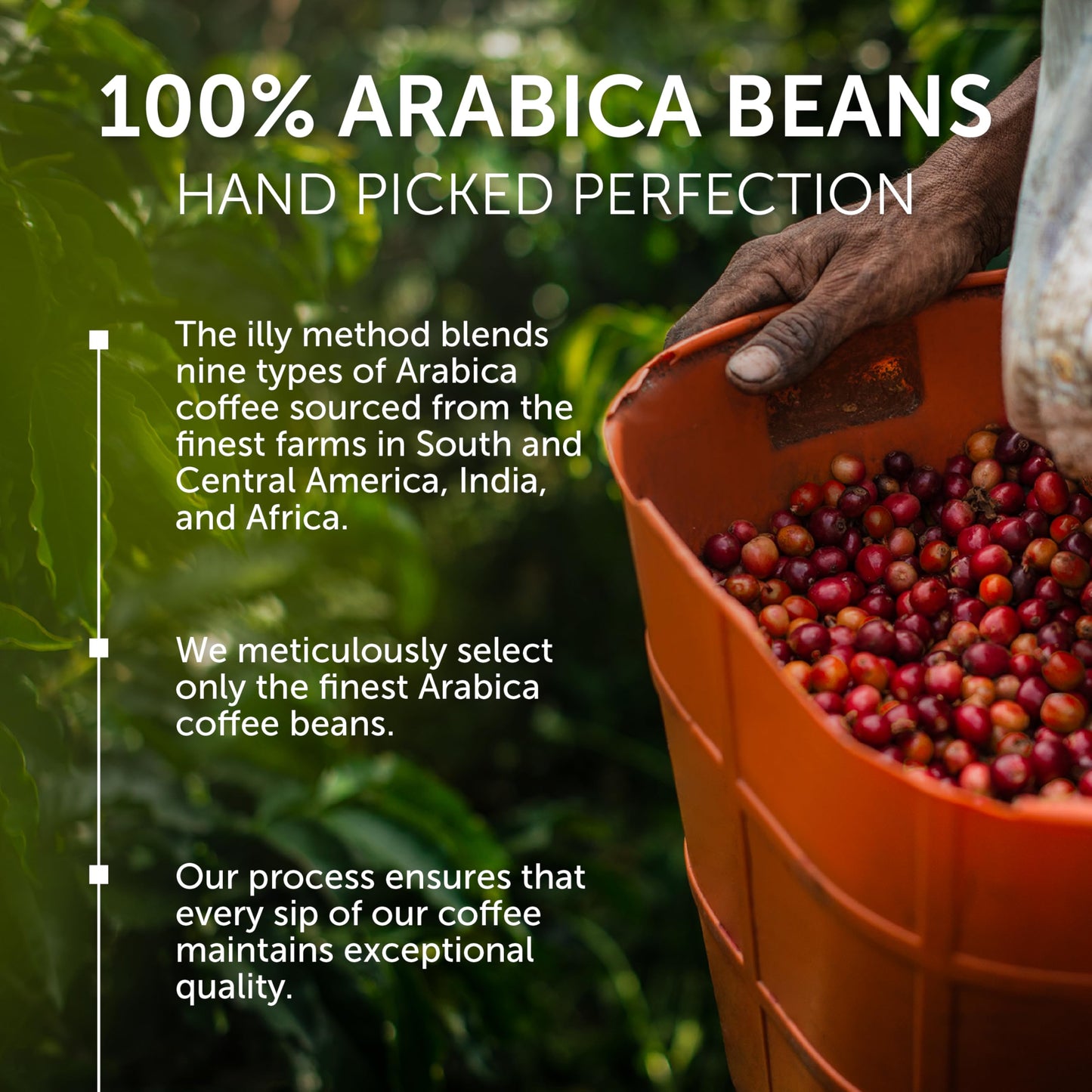 Illy Whole Bean Coffee, Decaffeinated - Medium Roast - Mild & Balanced - 100% Arabica - Whole Beans - Pressurized Packaging Seal