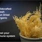 KARIBBEAN FLAVOURS Dried Sea Moss - Wildcrafted Superfood - 16 Oz (Pack of 1)