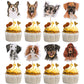 Rsstarxi Cupcake Toppers for Dogs - 40 Pack Double-Sided Birthday Picks - Design 2