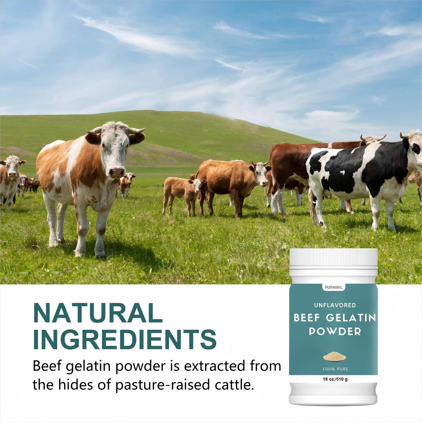 Hznxolrc Beef Gelatin Powder Unflavored Natural Thickener 18 oz