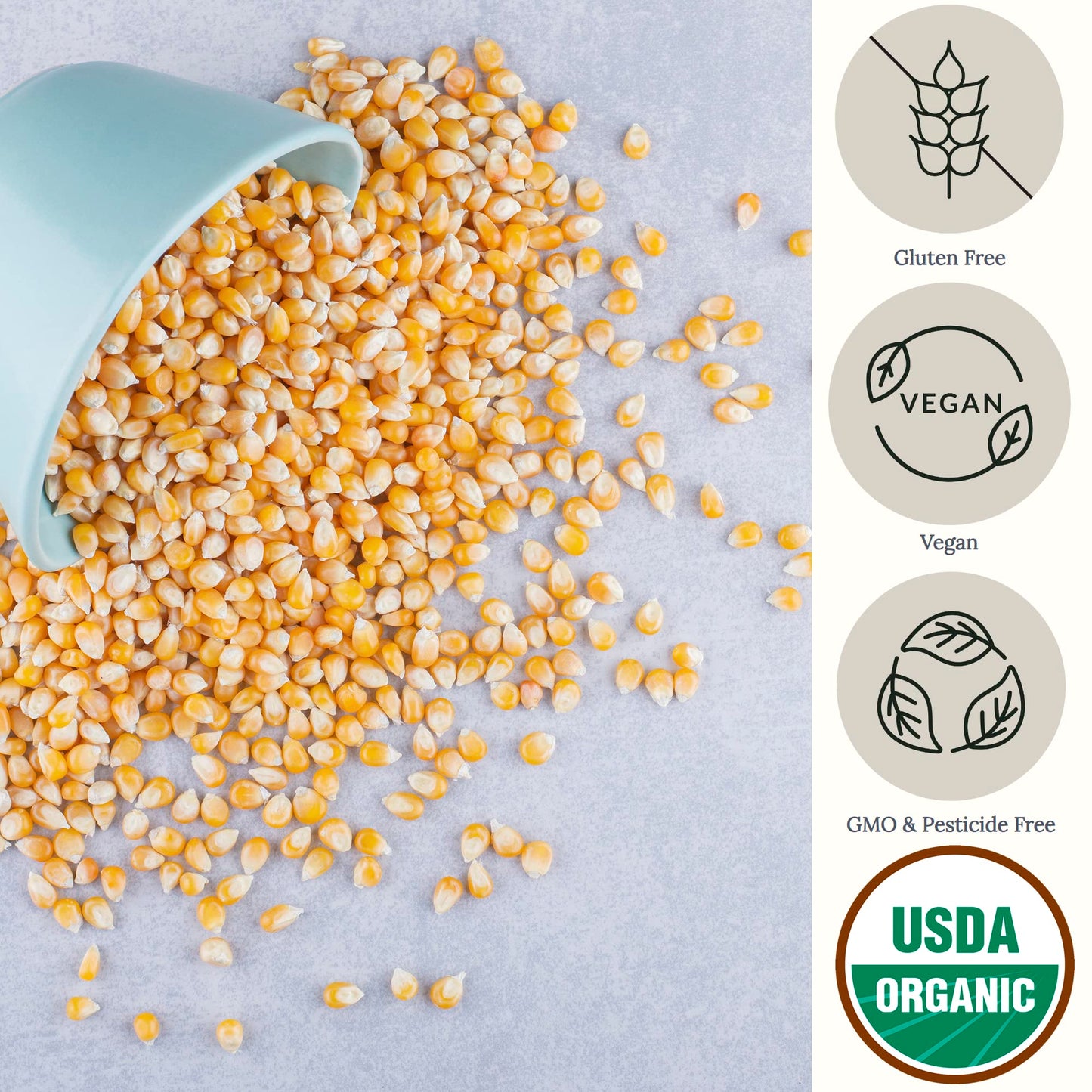 Be Still Farms Yellow Organic Popcorn Kernels - Hulless, Non-GMO, Vegan, 2.8 lb, USA Grown