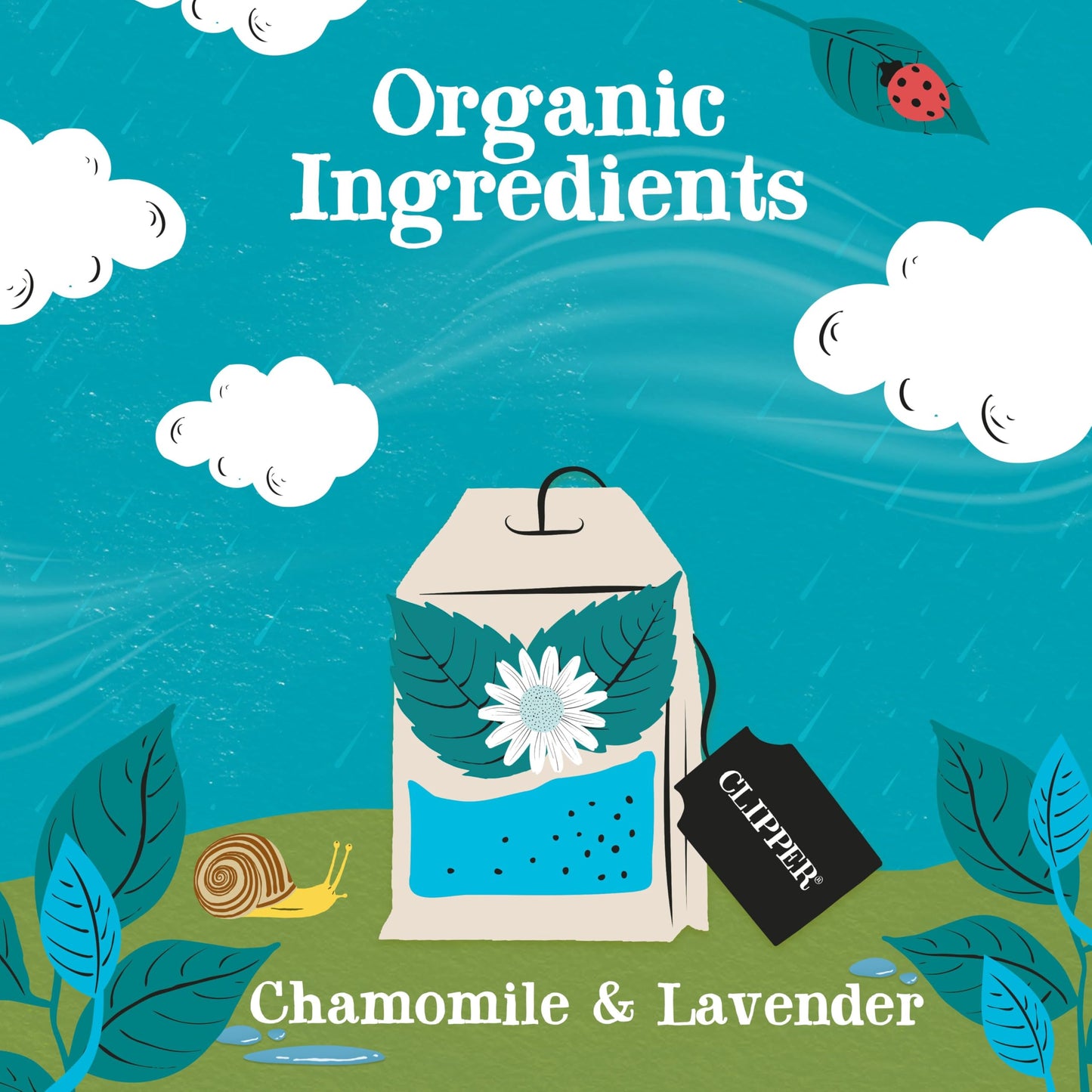 Clipper Tea Snore and Peace Herbal Tea, Chamomile & Lavender, Caffeine Free, USDA Organic, 200 Tea Bags (50 Count Pack of 4)