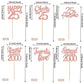 24Pcs Rose Gold Happy 25Th Birthday Cupcake Toppers Twenty Five Straight Outta 2000 Cupcake Picks Cheers To 25 Lengend Since 200
