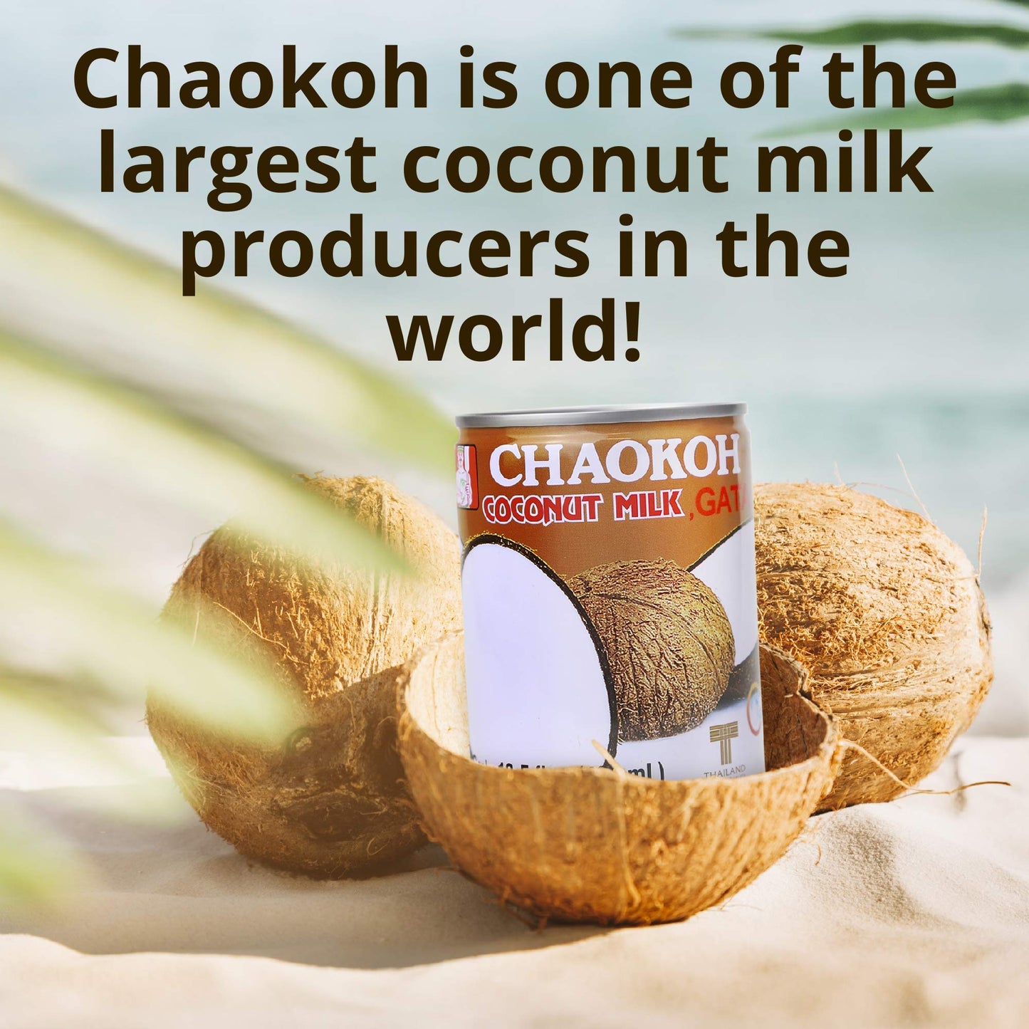 Chaokoh Coconut Milk Unsweetened 6 Pack - Premium, Canned Coconut Milk From Thailand, Lactose Free, Non Dairy Vegan Milk - For Curries, Drinks, Desserts, & More (13.5 Oz Per Can)