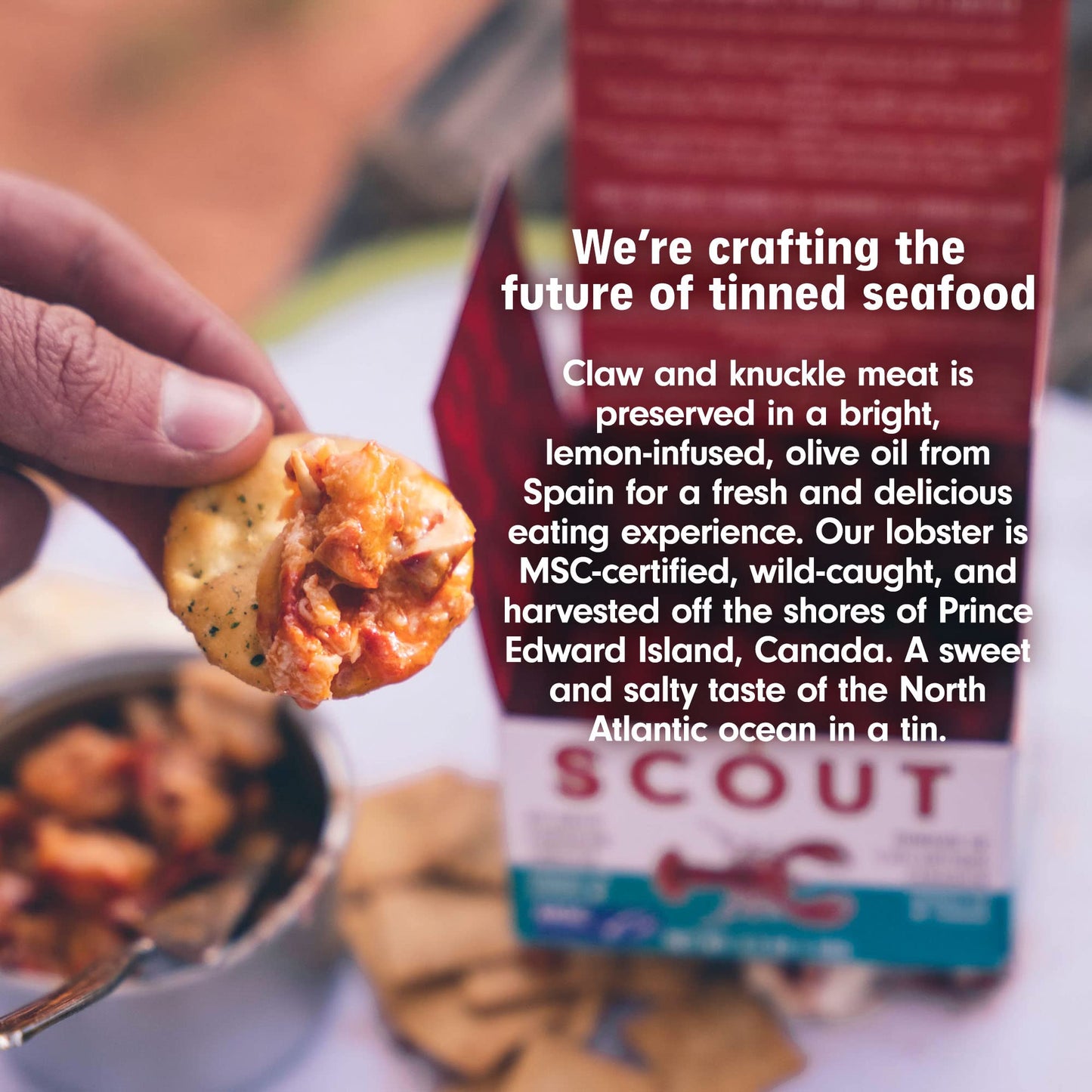Scout Atlantic Canadian Lobster, 3.2 Oz