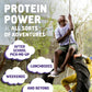 Zbar Protein - Chocolate Chip, Chocolate Mint, And Cookies 'N Creme - Variety Pack - Crispy Snack Bars - Made With Organic Oats