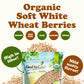 Food To Live Organic Soft White Wheat Berries, 1 Pound - Premium Non-Gmo Whole Grain Wheat For Milling, Sprouting, Cooking And B