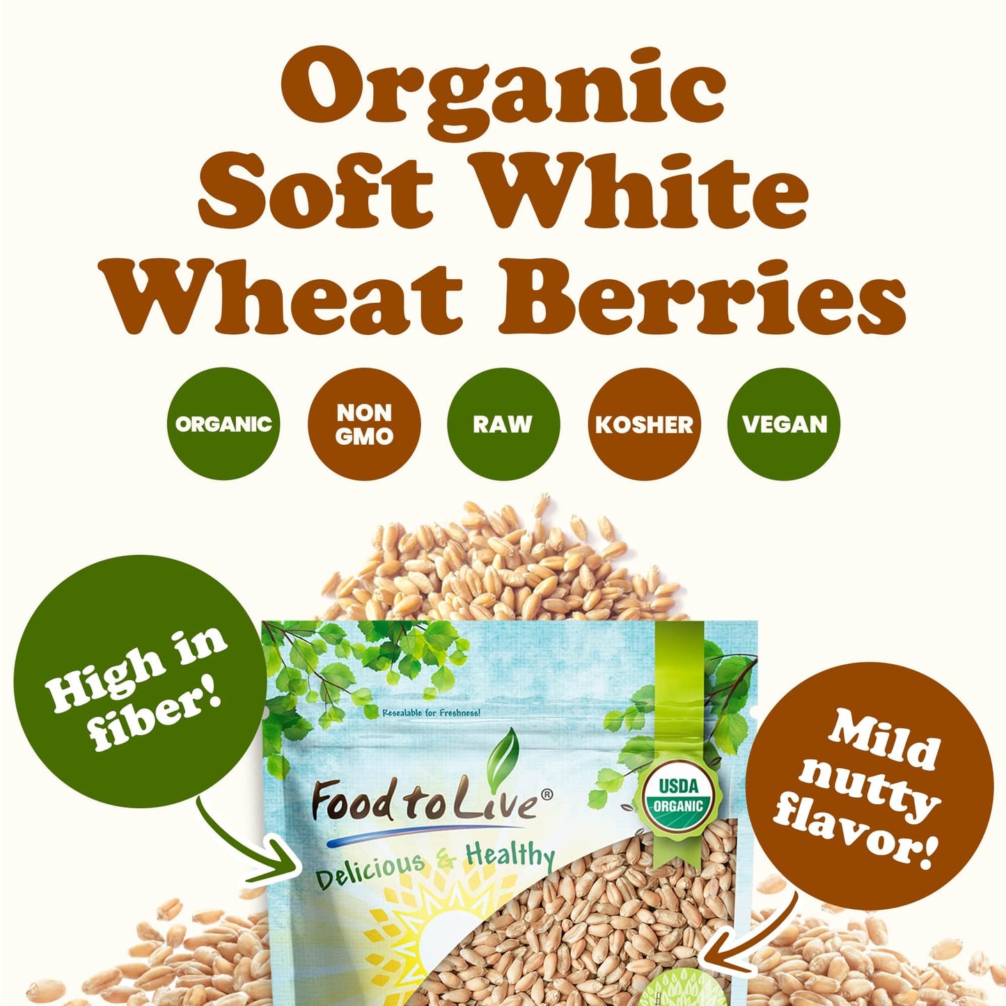 Food To Live Organic Soft White Wheat Berries, 1 Pound - Premium Non-Gmo Whole Grain Wheat For Milling, Sprouting, Cooking And B