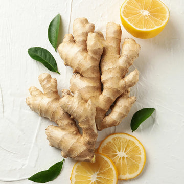 Organic Fresh Ginger Roots Snow Hill Himalayan Ginger Roots - Product Of Mt. Everest Country, Nepal | If Need Fresh Batch, Choos