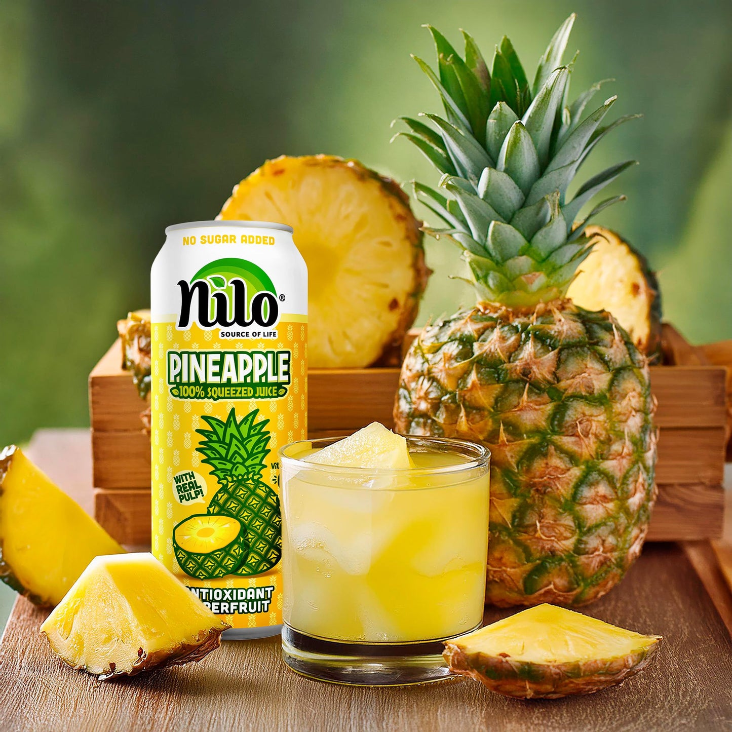 NILO Pineapple Juice | 100% Squeezed | No Sugar Added | 10.8 oz (Pack of 12)