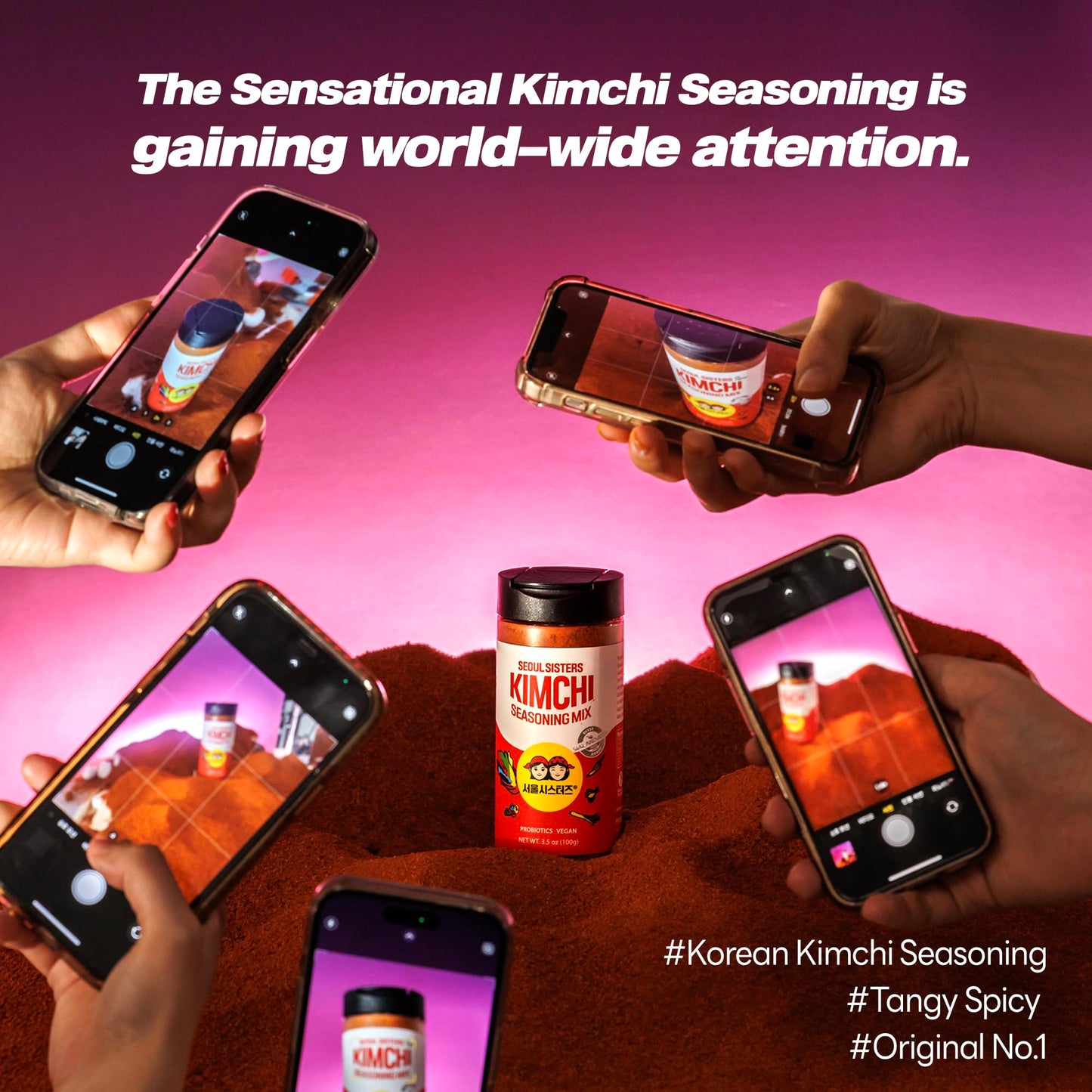 SEOUL SISTERS Korean Kimchi Powder Seasoning Mix 3.5 oz (100g) 1EA - ORIGINAL Spicy Seasoning Mix, Rich in Probiotics, Delicious