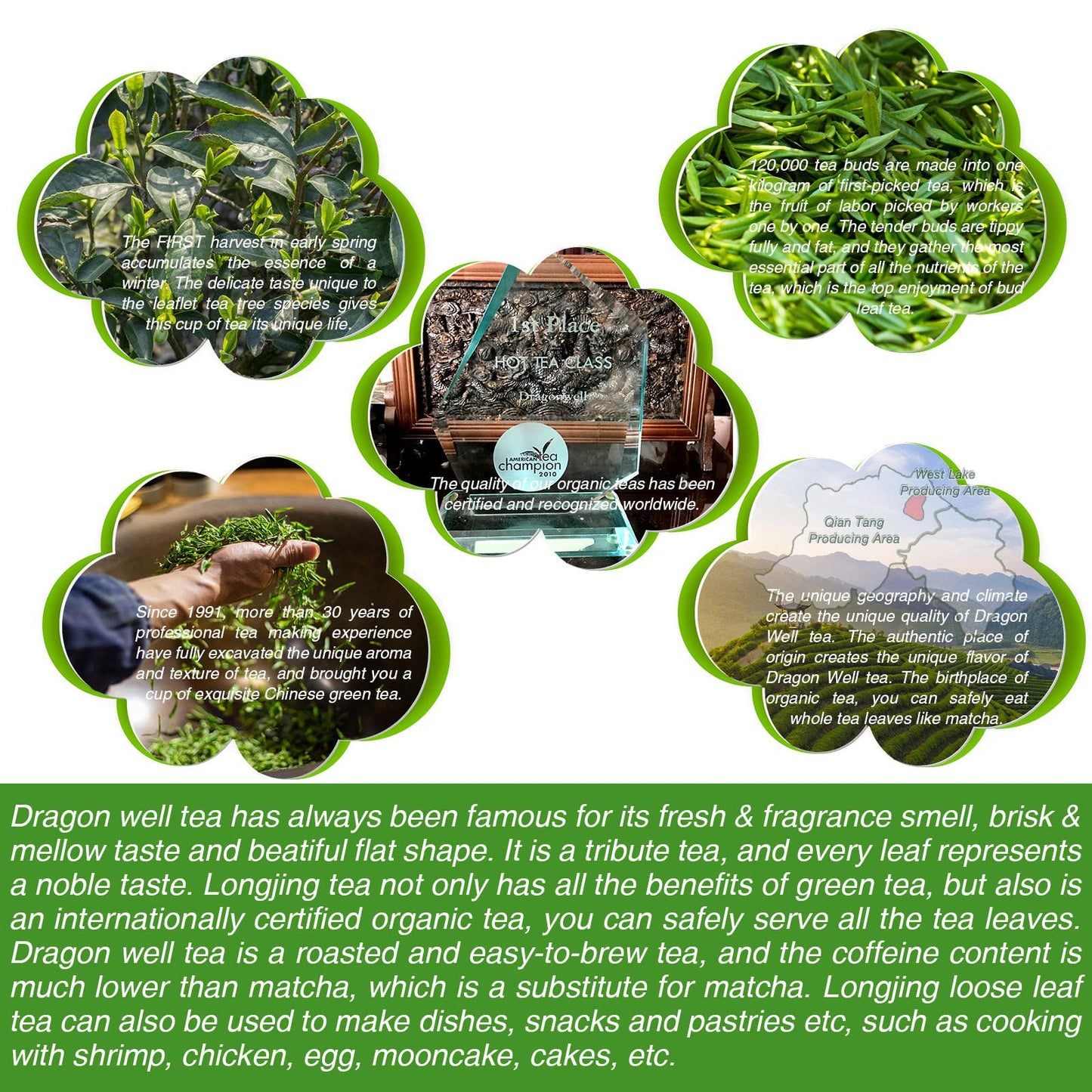 Efoofan Usda Certified Organic Longjing Green Tea Loose Leaf, 3Oz, Buds Leaves Hand-Picked, Authentic Chinese Dragonwell Tea Ori