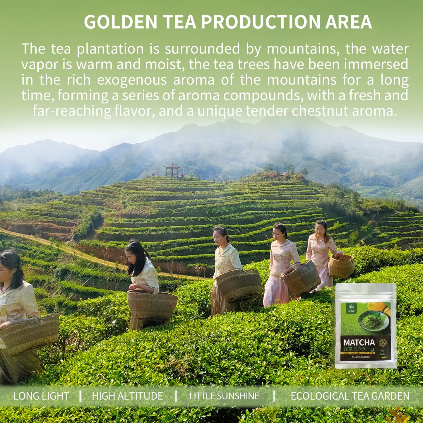Tian Hu Shan Matcha Green Tea Powder 3.5Oz/100G, Pure Matcha Powder Culinary Grade Unsweetened For Lattes, Cooking, Baking, Vega