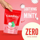 Sugar Free Peppermint Starlights By Cambie | 1 Lb Of Peppermint Sugar Free Hard Candy | Individually Wrapped Mint Candy | Delici