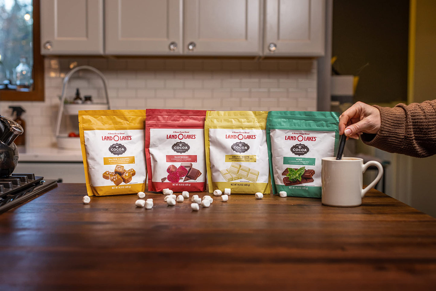 Land O Lakes Cocoa Classics Mint Cocoa Mix Pouch, 14.8 Ounce (Pack Of 1)