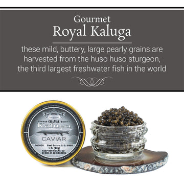 Overnight Shipping- Olma Kaluga Sturgeon Black Caviar - Large Pearly Grains, Smooth Flavor, Superior Grade - 1 Oz / 28 G