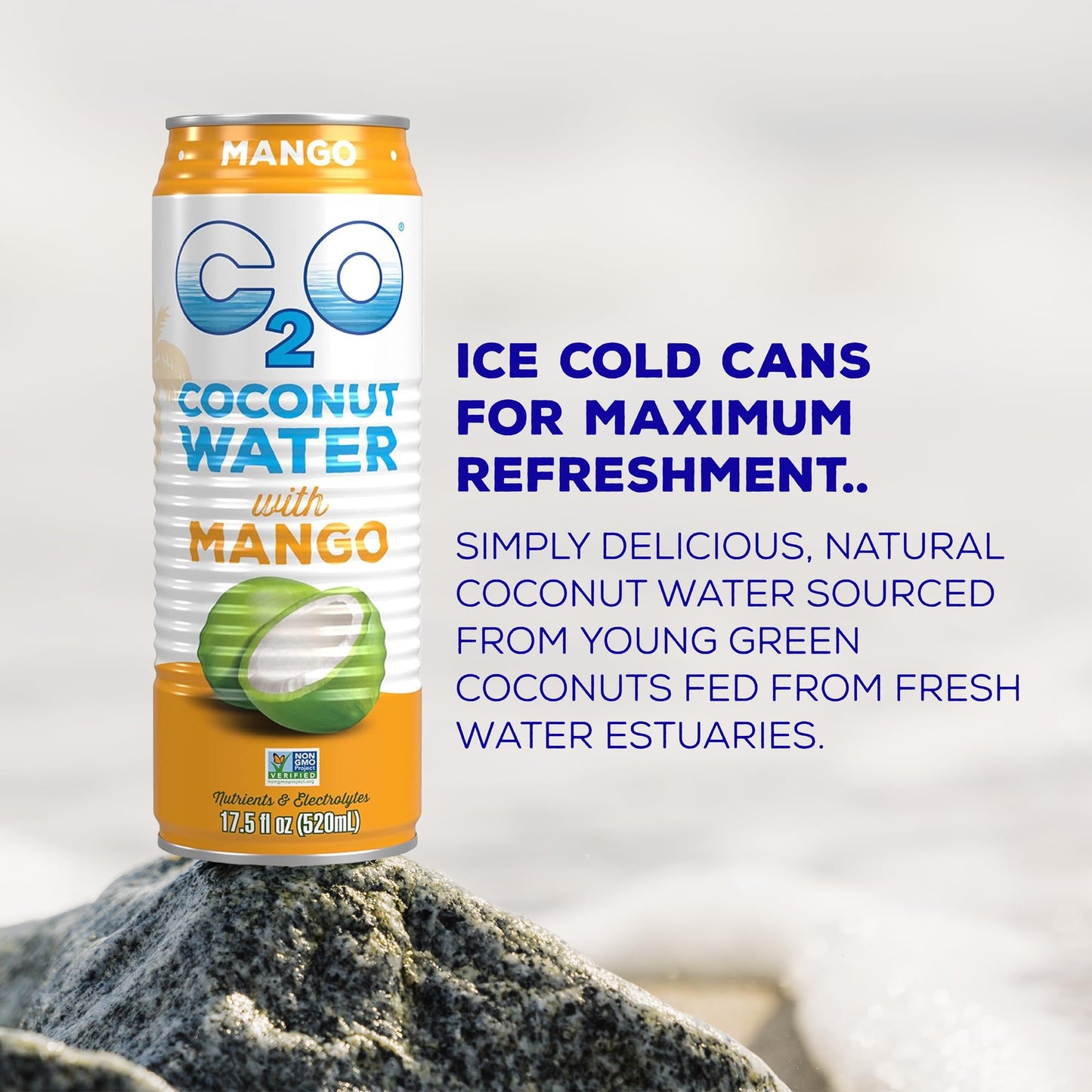 C2O - Pure Coconut Water - Mango - Case Of 12 - 175 Fl Oz(D0102H5Ngu6)