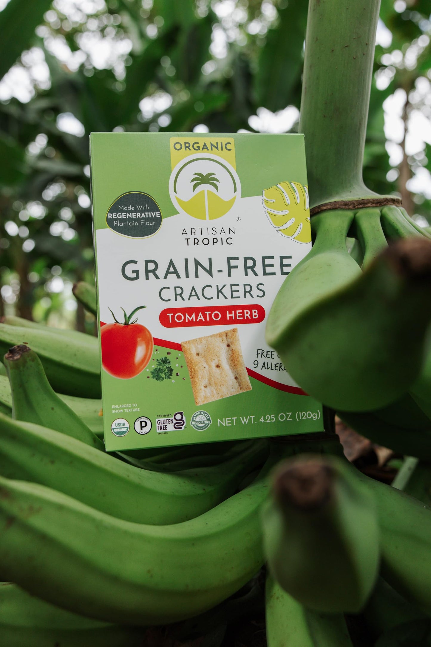 Artisan Tropic Tomato Herb Crackers, Gluten Free, Grain Free, 4.25 Ounces (Pack Of 6)