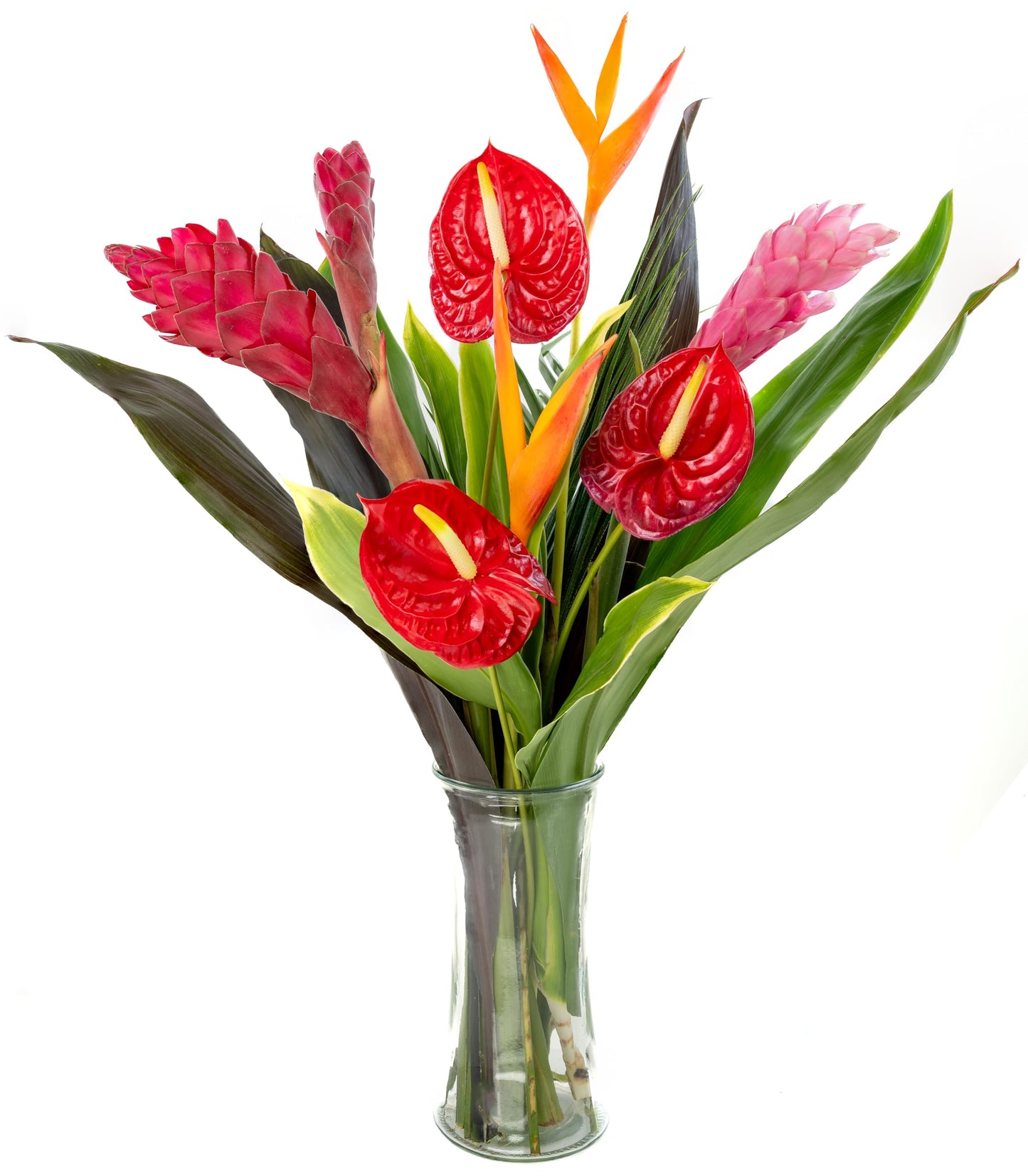 Fresh Orchids And Tropical Flower Bouquet  Red Anthuriums  Red Flavor Blendger  Heliconia  Mixed Foliage  Hawaiian - Perfect For Birthdays  Easter  MotherS Day  Anniversaries  Gifts  Etc.