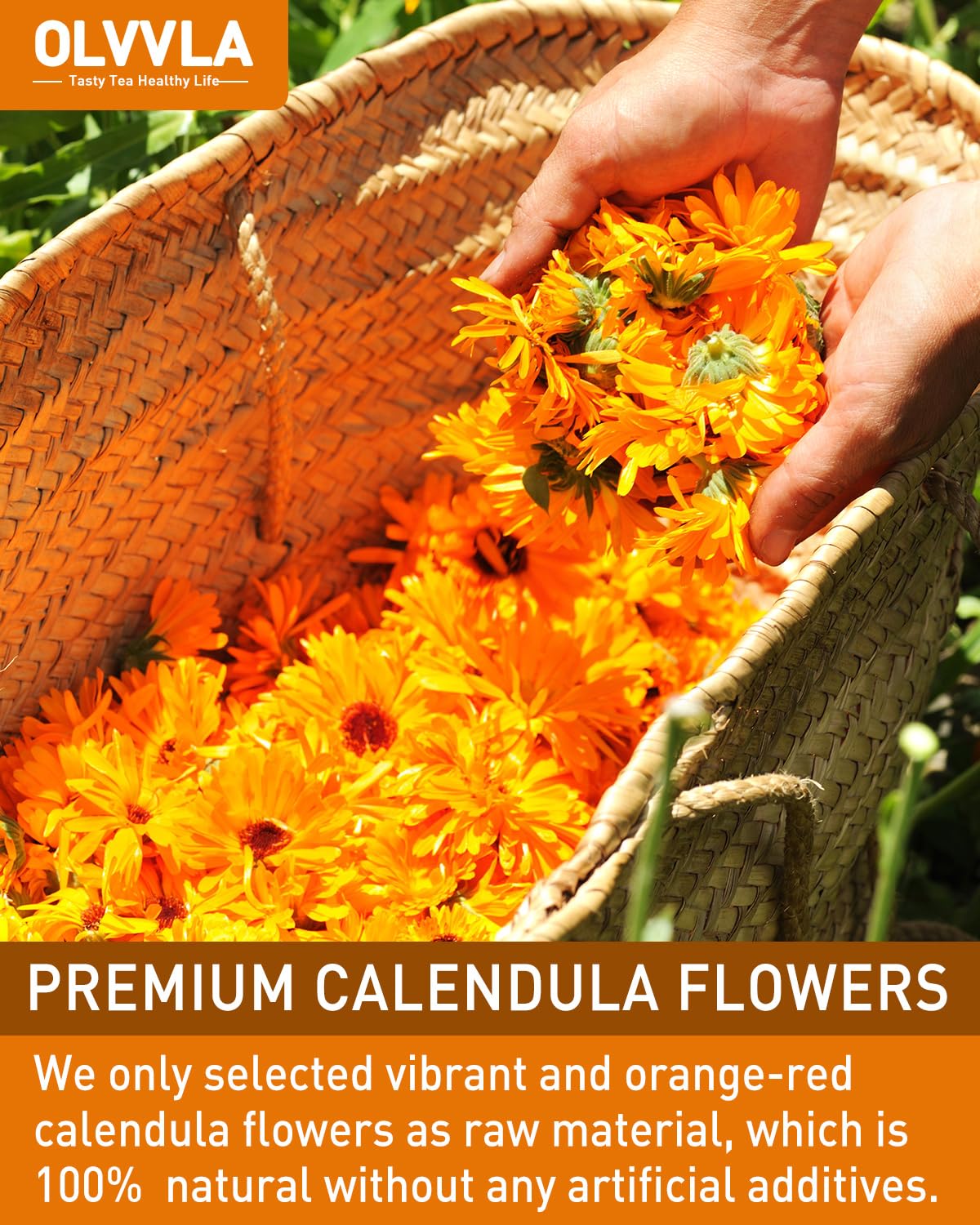 Olvvla Natural Calendula Flowers Tea Bags - Caffeine-free Herbal Tea - 50 Count - Non-GMO - Rich in Antioxidants
