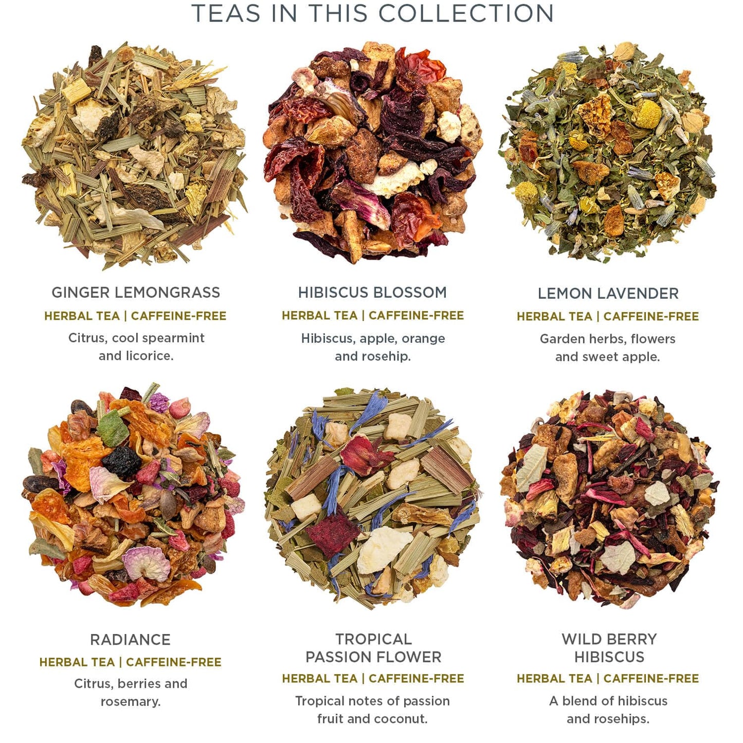 Tea Forte Demoiselle Advent Calendar Tea Gift Set of 12 Pyramid Infuser Tea Bags with Numbered Doors  Variety Pack of Assorted enhanced Loose Leaf Tea Bags