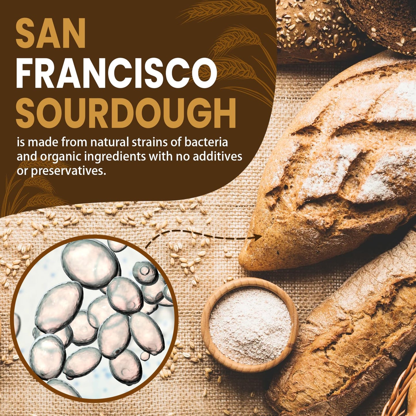 OVOVYME Dehydrated Sourdough Starter Culture, Fast Activation, 10g, San Francisco Style, for Homemade Artisan Bread