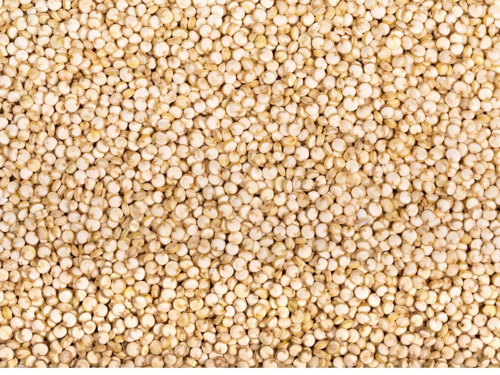 CEREAUSLY Organic White Quinoa - enhanced Royal Quinoa from Bolivia - Kosher and Non-GMO Quinoa Bulk - Vegan and Gluten-Fee Cooking Quinoa - 10 LB