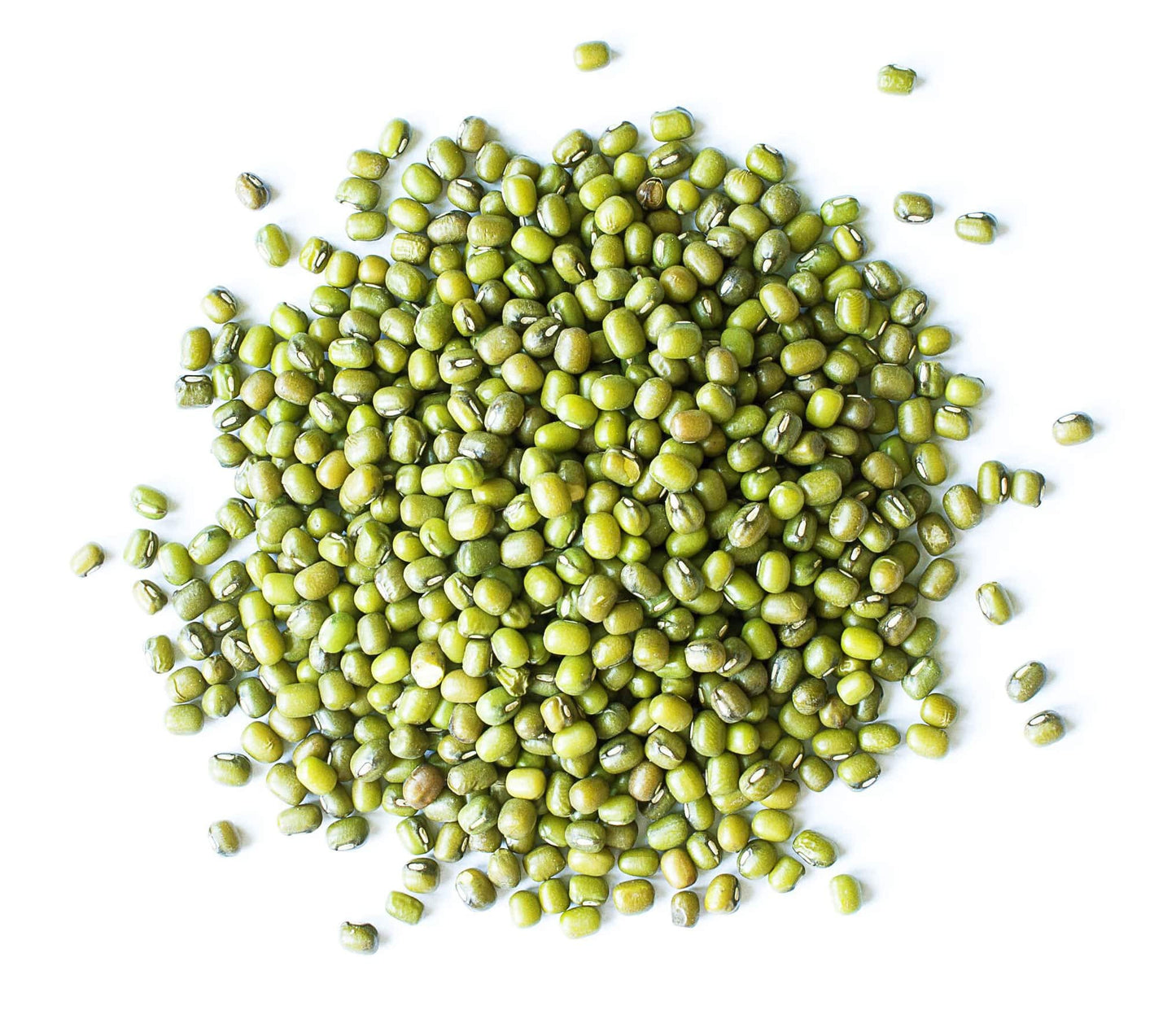Organic Mung Beans, 1 Pound - Non-Gmo, Whole Dried Beans, Green Gram, Sproutable, Kosher, Vegan, Sirtfood, Bulk. Good Source Of Fiber, Protein, Folate. Goes Well With Asian, Middle East Dishes.