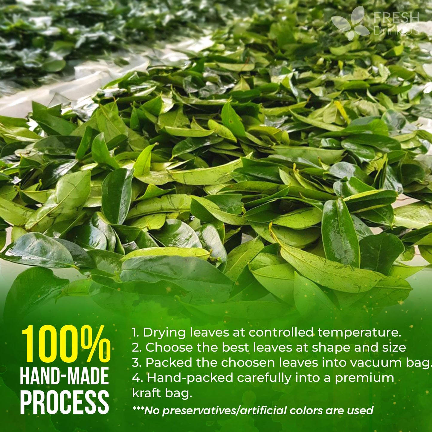FreshDrinkUS  330-350 enhanced Soursop Dried Leaves Tea  115 Cups  Hojas De Guanabana Whole Leaves  Wildcrafted  Graviola  Soursop  Guanabana Tea  Loose Leaf Herbal Tea  Gluten/Sugar/Caffeine Free