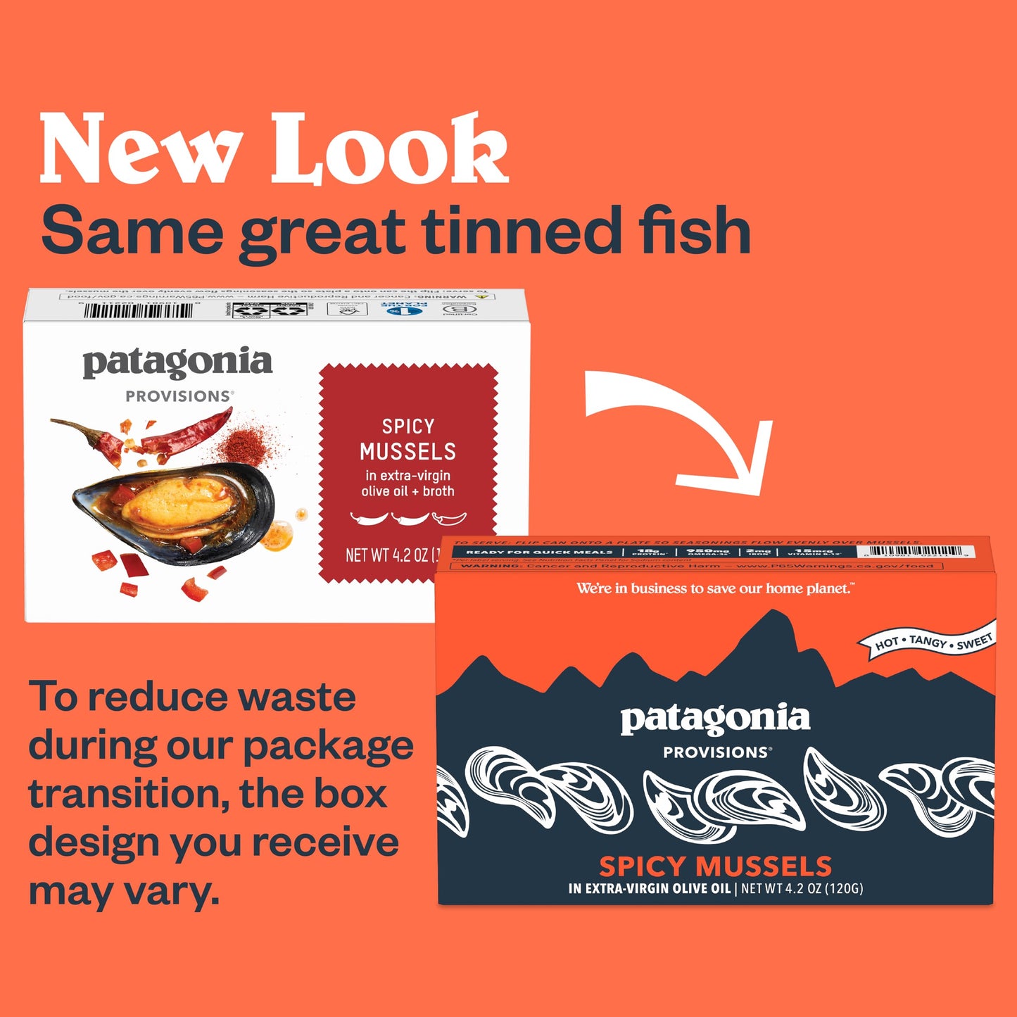 Patagonia Provisions Spicy Mussels in Extra Virgin Olive Oil | 18g Protein | Gluten Free | 4.2 Ounce (Pack of 10)