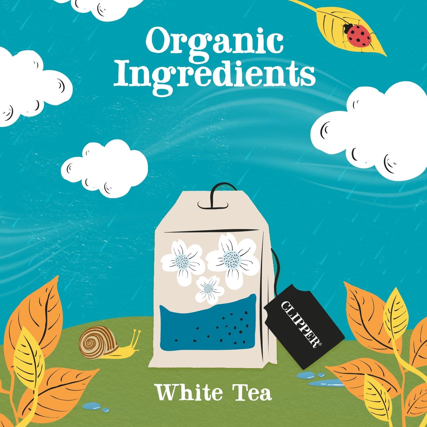 Tuhimo Organic White Tea, 11 Count (Pack Of 369), 0.27 Kg, 29 X 14.8 Cm