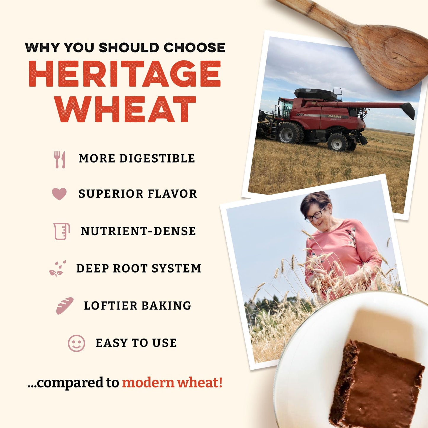 Sunrise Flour Mill Organic Whole Wheat Pastry Flour - 80 oz | Milled from White Sonora, No Additives, Easily Digestible