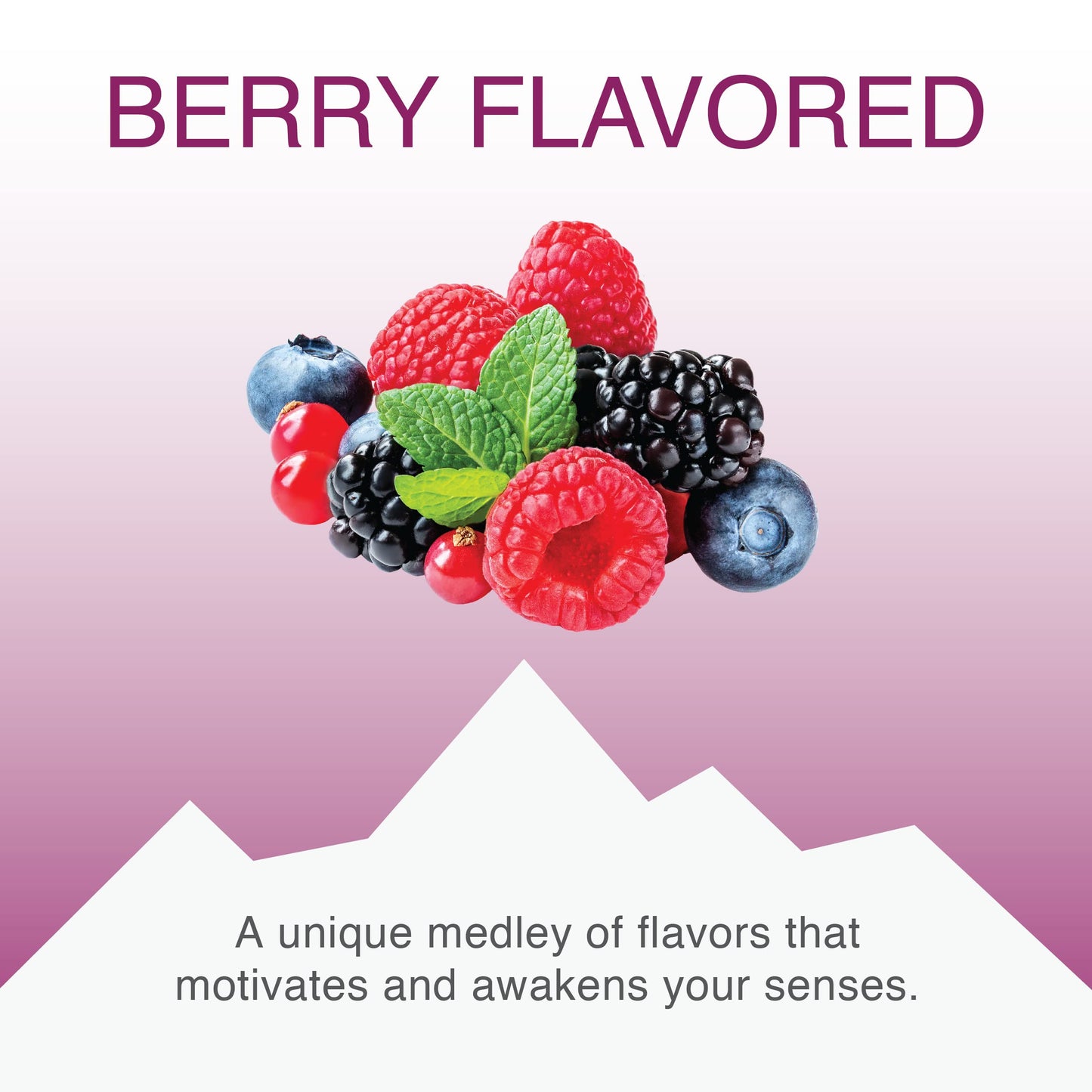 Vitalp Taste, Swiss Made, Sugar Free Candy With Stevia, Vegan, Berry Flavor, 25G/0.88 Ounce Packs, 16 Boxes