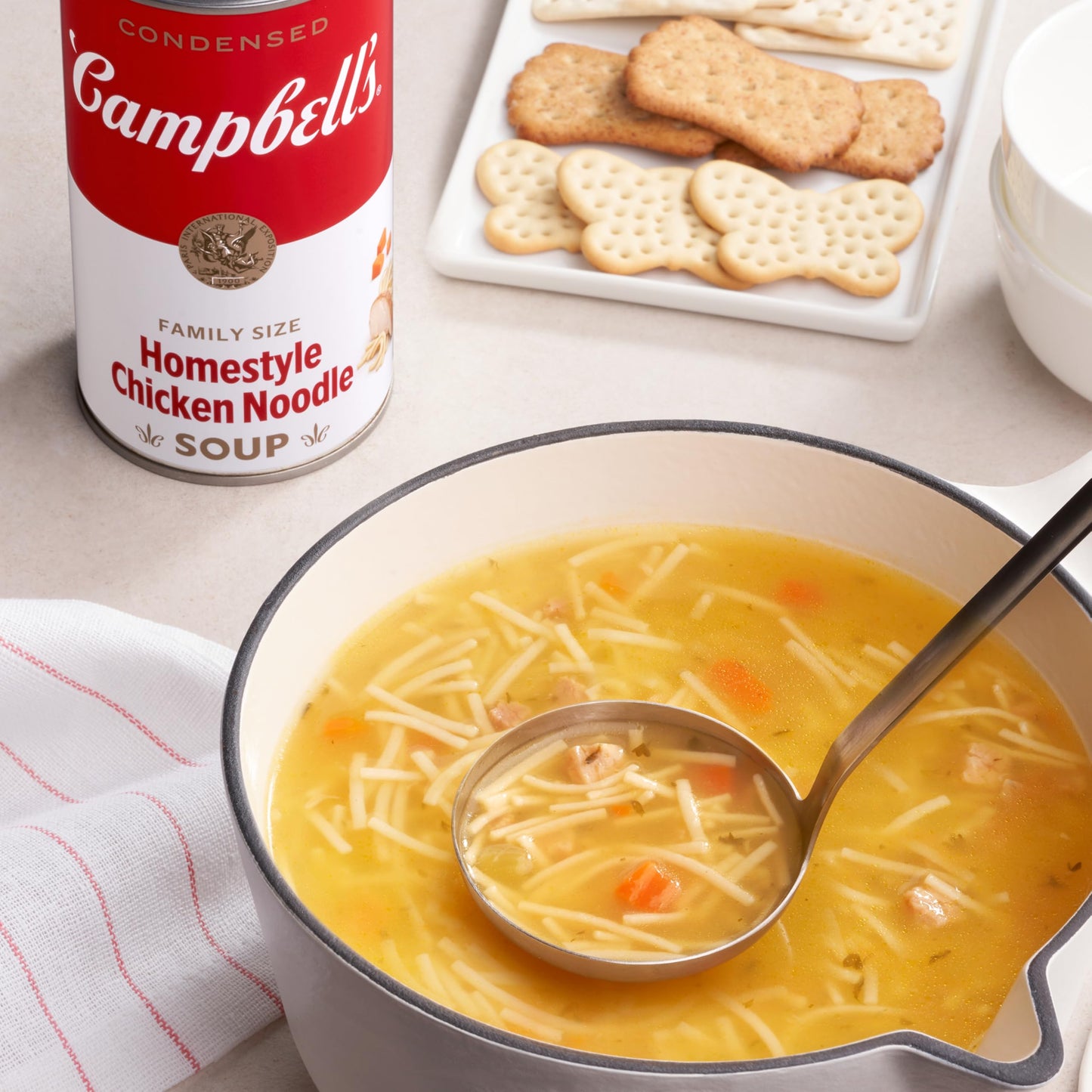 Campbells Condensed Homestyle Chicken Noodle Soup, 22.2 oz Family Size Can