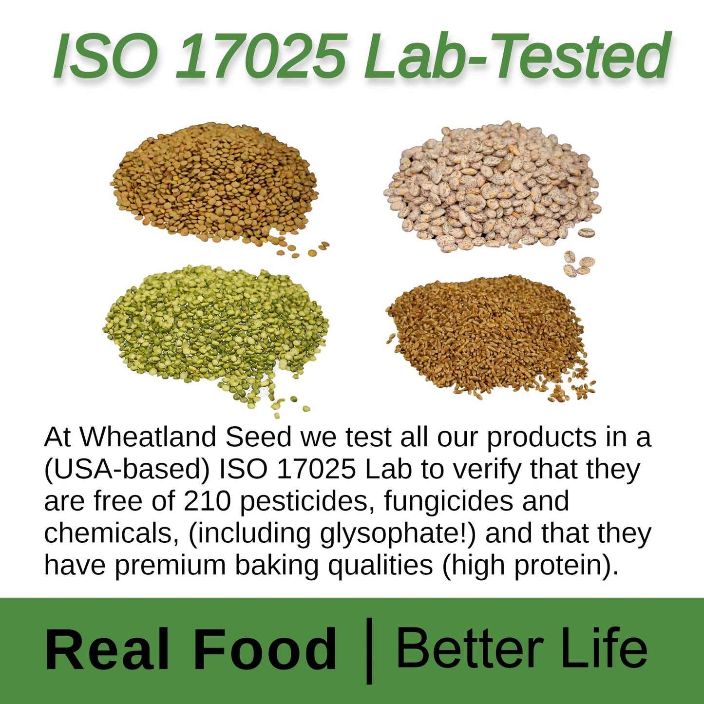 WHEATLAND Garbanzo Beans Chickpeas, 20 lb Bucket, Non-GMO, Lab Tested, 25 Year Shelf Life, Oxy-Pack, Idaho Grown