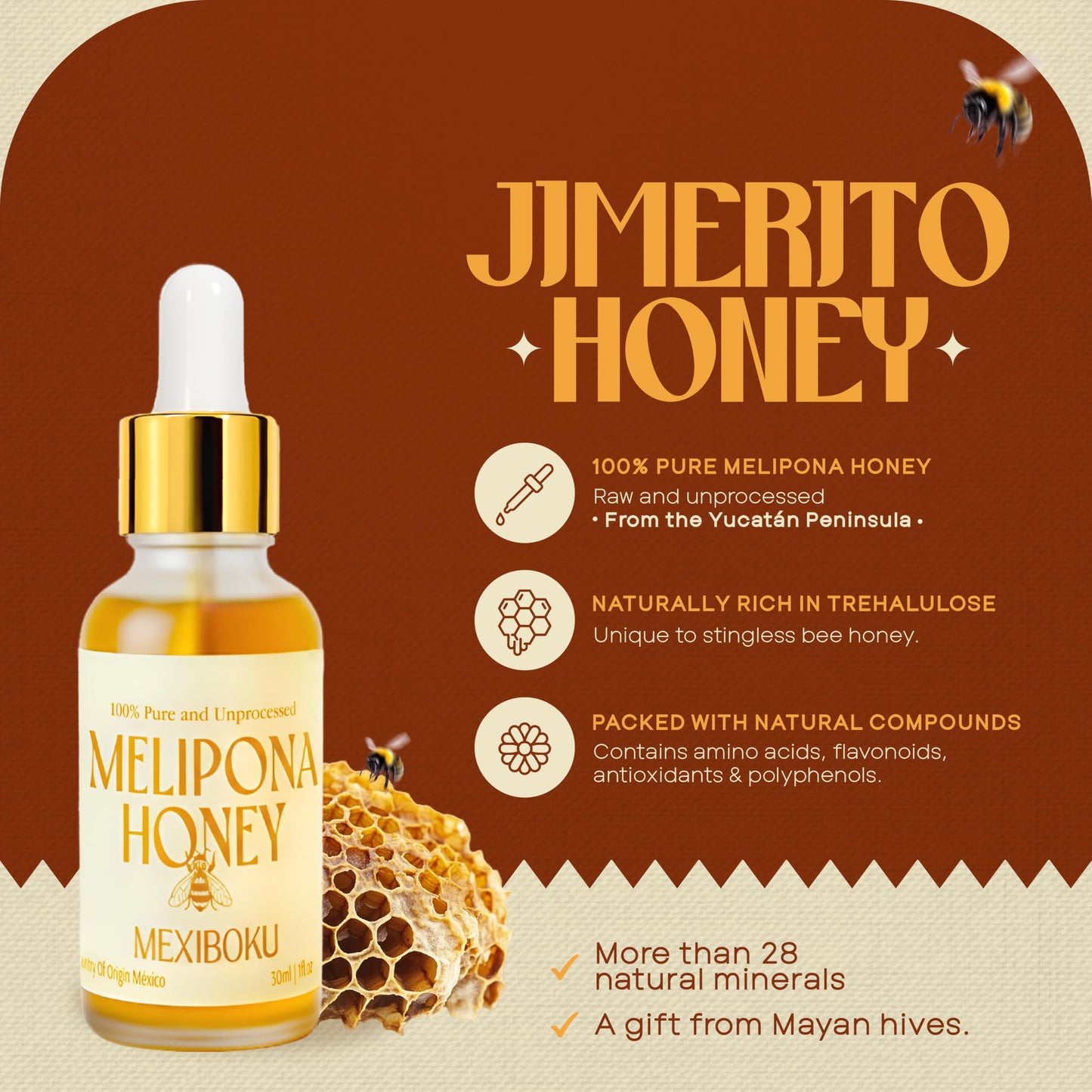 Jimerito Stingless Bee Melipona Honey Drops 30ml - 100% Pure and Unprocessed - Ancestral Mayan Honey from Yucat  n Peninsula