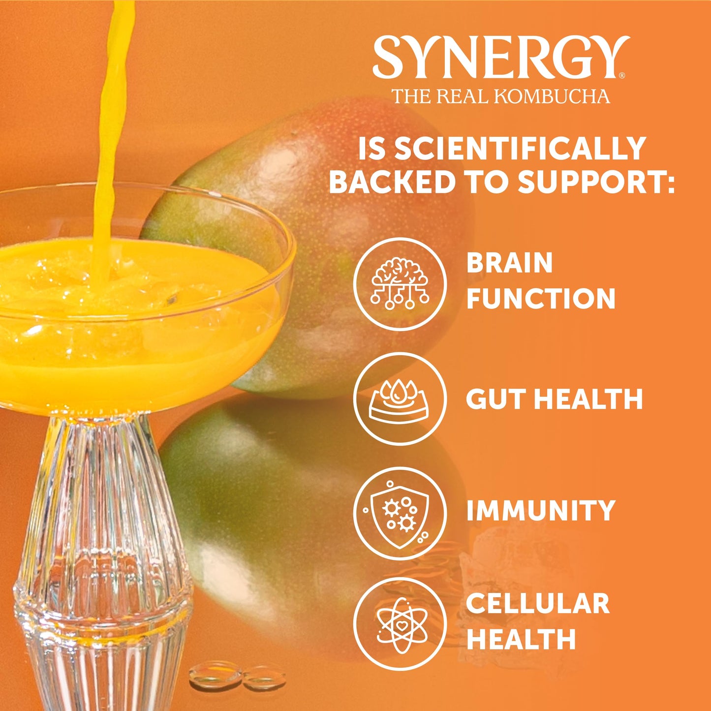 SYNERGY The Real Kombucha - Mystic Mango - 16 fl oz Bottle - Raw Probiotic Drink for Gut Health and Immune Support