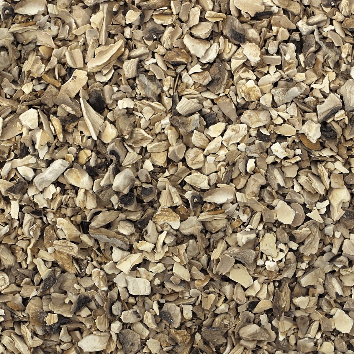 Harmony House Foods Dried Mushroom Bits & Pieces (6 Oz, Quart Size Jar)