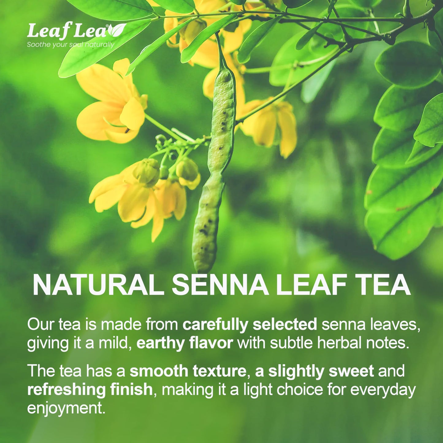 LeafLea Senna Tea Bags - Herbal Laxative Tea, Caffeine-Free, Sugar-Free, Vegan - 40 Bags (Pack of 1)