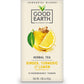 Good Earth Sensorials Ginger, Turmeric & Lemon Herbal Tea 15 Ct Box