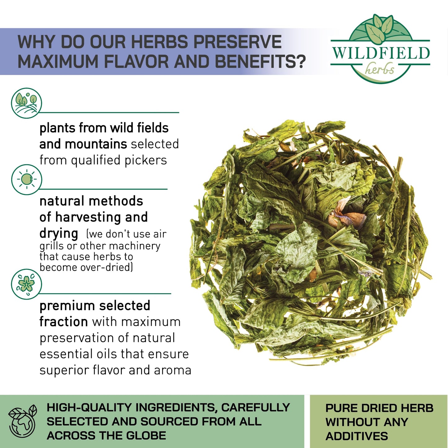WILDFIELD HERBS Goats Rue Herb Tea - 1.8 oz (50 g) - Galega officinalis - Herbal Tea