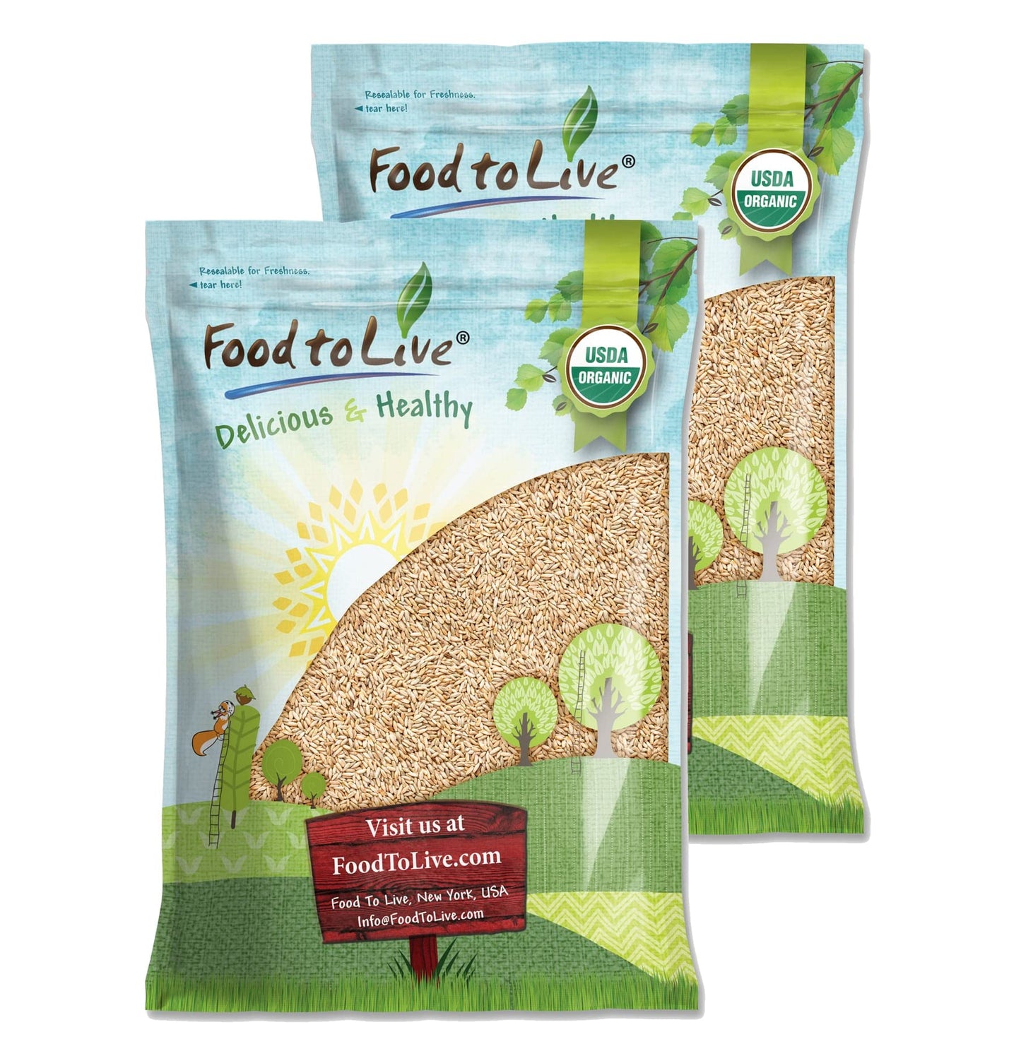 Food to Live Organic Rye Berries, Non-GMO, Kosher, Raw, 20 Pounds