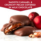 Fannie May, Premium Milk Chocolate, Pixies, Holiday Gift Box, 11.2 Z