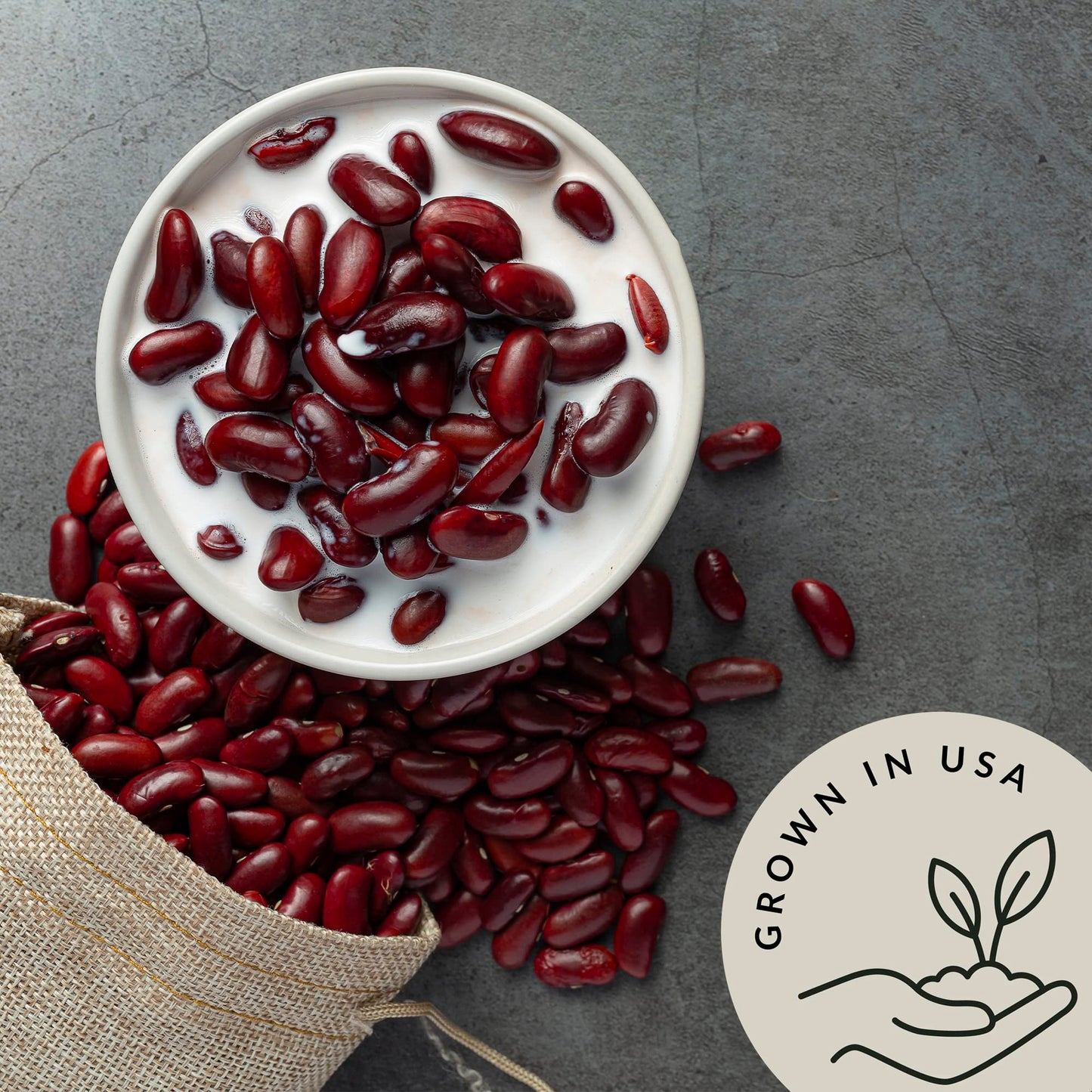 Be Still Farms Organic Dark Red Kidney Beans (4,8Lb) - No Salt Bean Bulk Sproutable - Ideal For Soup, Salad, Nachos - High In Pr
