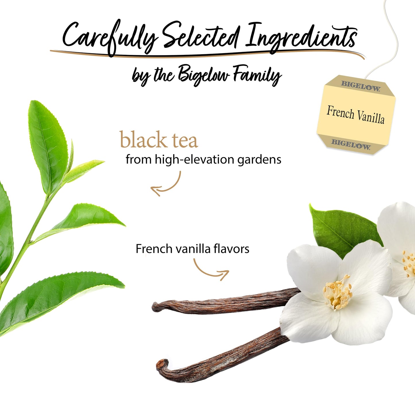 Bigelow Tea French Vanilla Black Tea, Caffeinated, 20 Count Box (Pack of 6), Model 072310001657, 120 Total Tea Bags