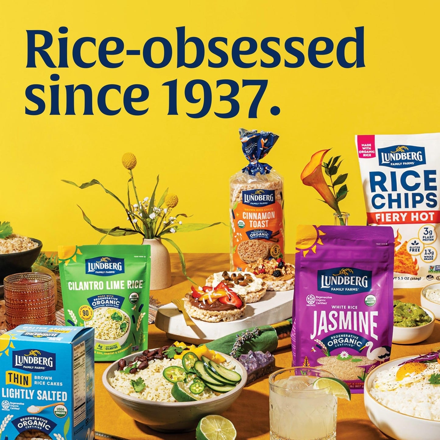 Lundberg Organic Thin Stackers, Red Rice & Quinoa, Salt-Free, Thin Multigrain Rice Cakes, Gluten-Free, Vegan, Healthy Snacks, 6