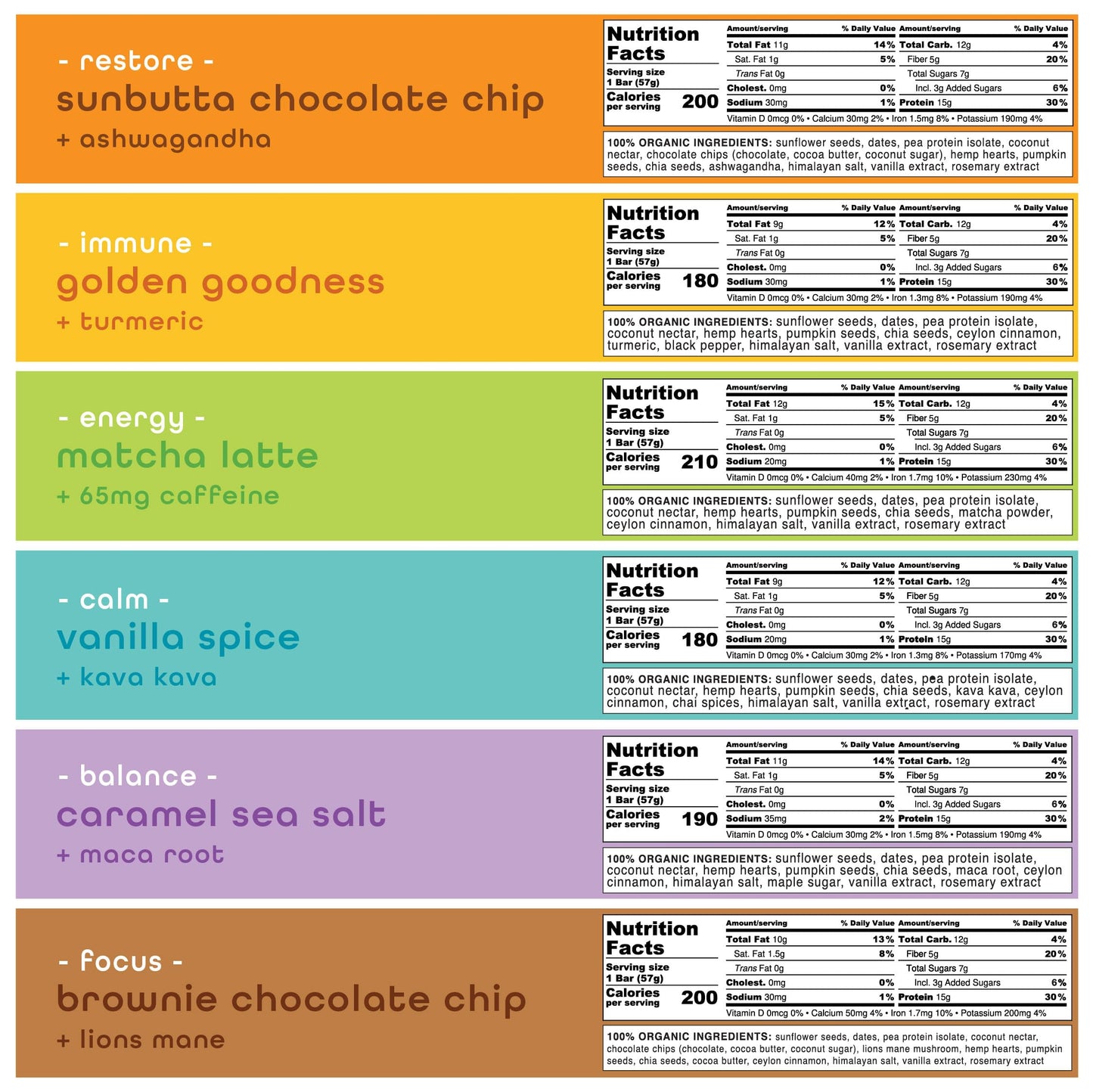 Feel Vegan Protein Bars - Keto, Gluten Free, Organic, 15g Protein - Dairy Free, Low Sugar - Variety Pack (6 Flavors, 6 Pack)