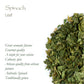 Spinach Dried Leaf Flakes - Spinach Leaf Dried Spinach Flakes Dried Spinach Leaves Dried Spinach Flake